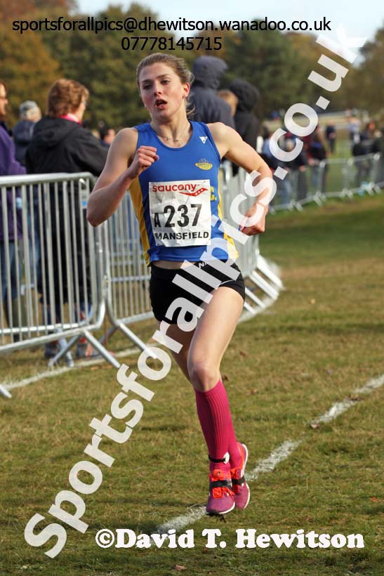 Junior women, 2016 National Cross Cpuntry Relays, Berry Hill Park, Mansfield. Photo: David T. Hewitson/Sports for All Pics